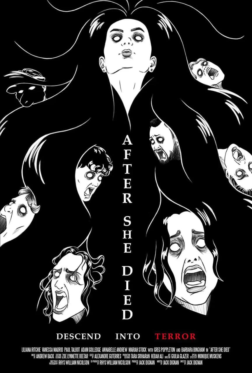 她死之后海报