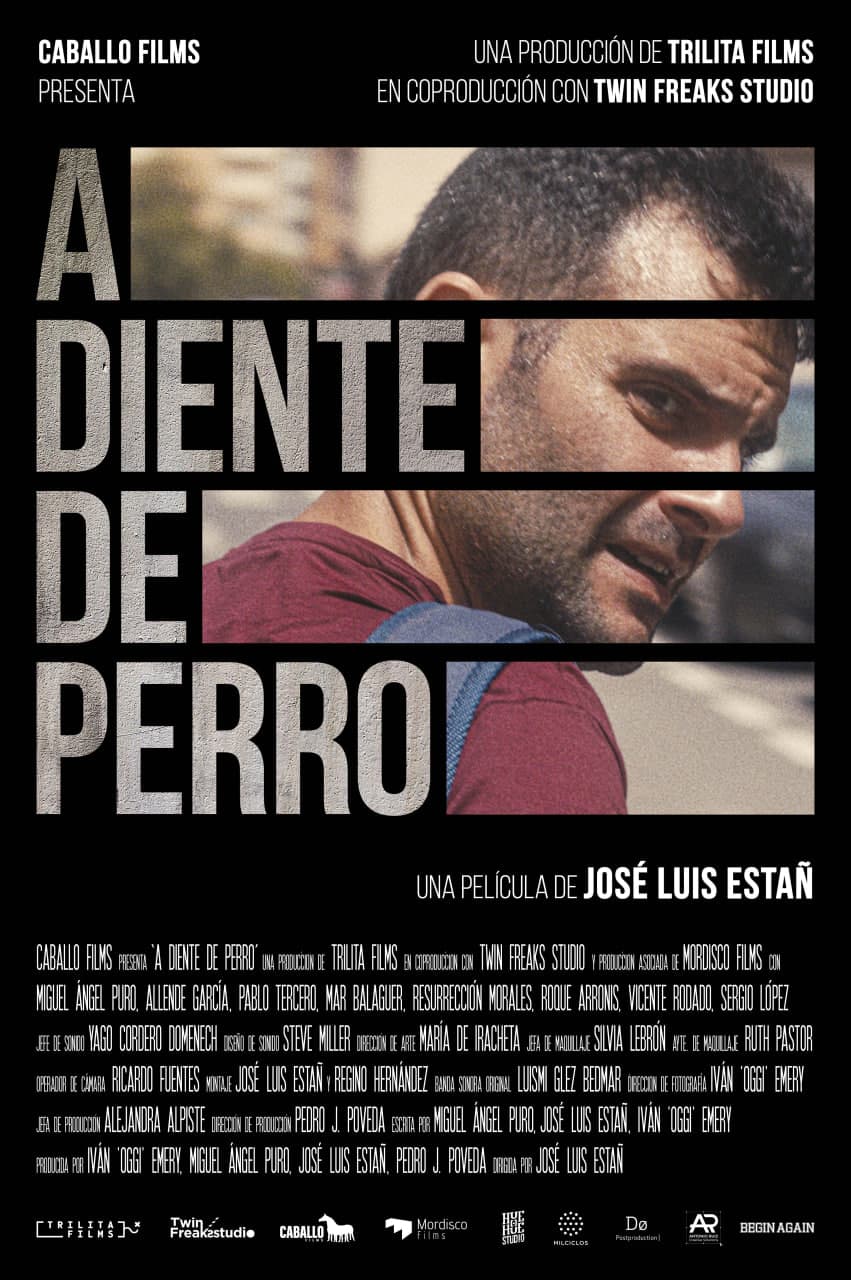 犬牙交错海报