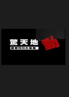 惊天地动：直击汶川大地震海报