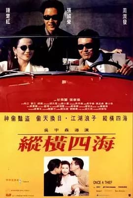 纵横四海国语海报