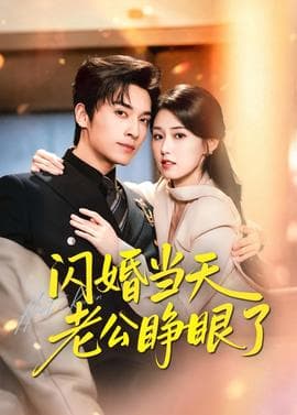 闪婚当天老公睁眼了海报