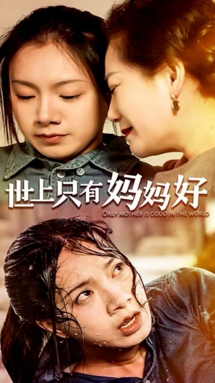 世上只有妈妈好海报