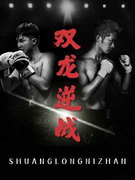 双龙逆战＆拳王之父子双龙海报
