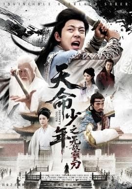 天命少年之无敌霸王刀海报