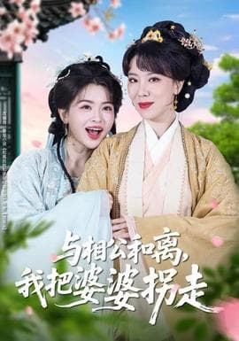 与相公和离，我把婆婆拐走海报
