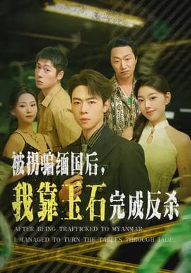 被拐骗缅国后，我靠玉石完成反杀海报