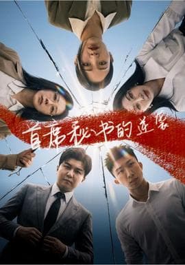 首席秘书的逆袭海报