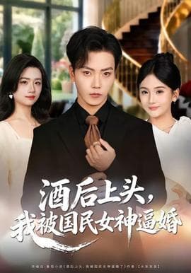 酒后上头，我被国民女神逼婚海报