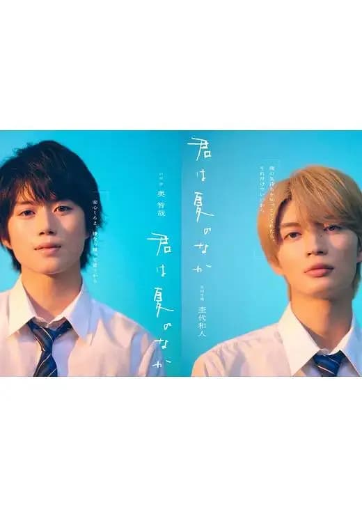 你在夏日之中海报