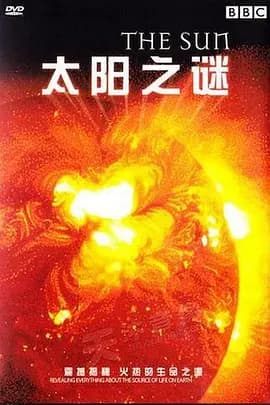 太阳之谜海报